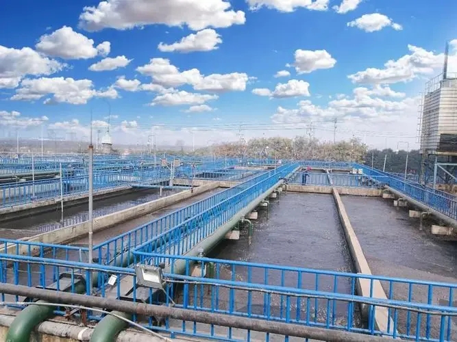 1647673324123676.jpg 1.jpg