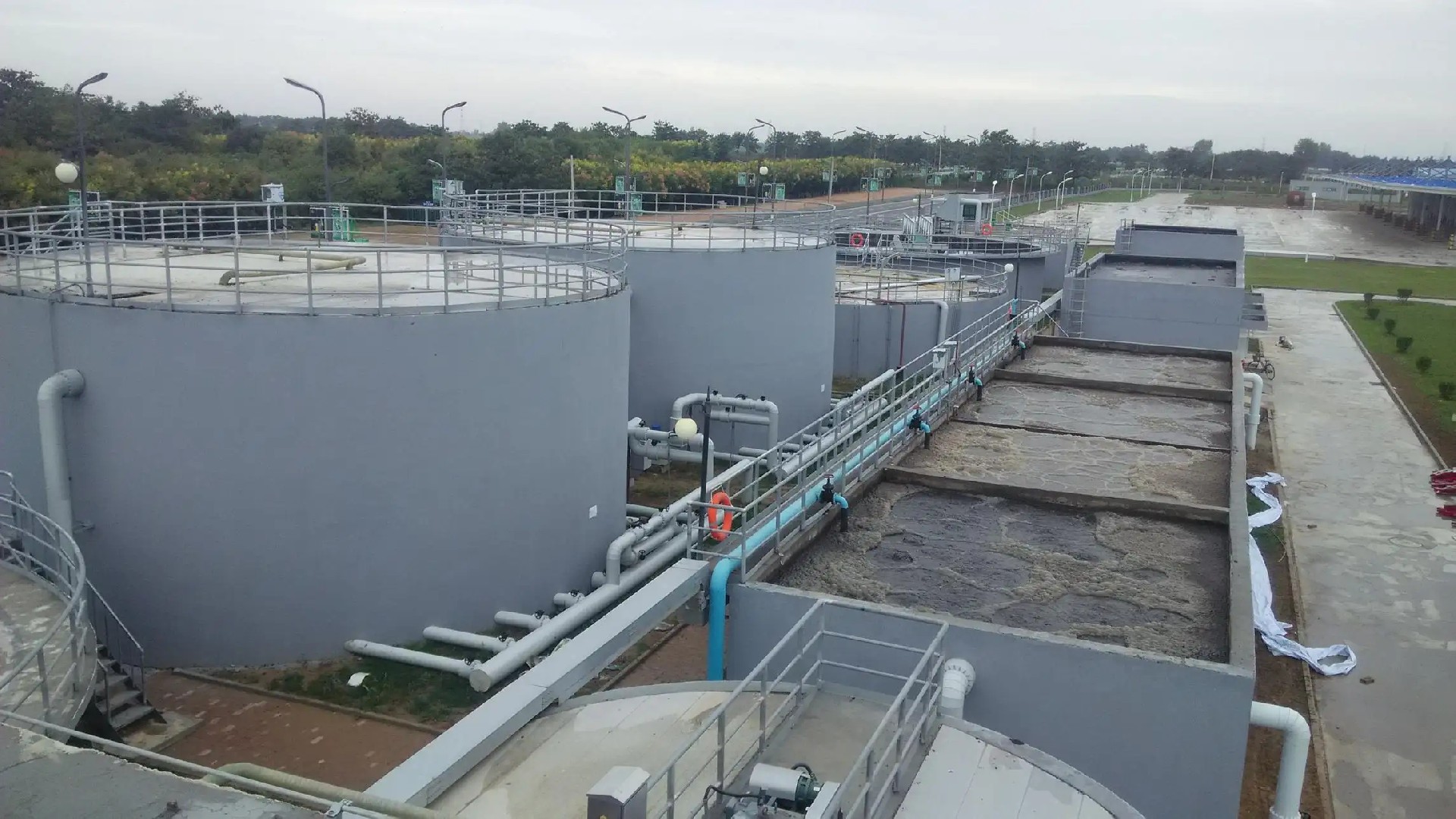 1657849573144362.jpg 1.webp (2).jpg